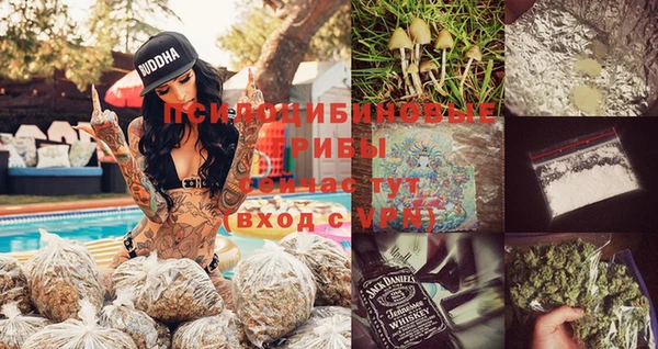 крисы Тында