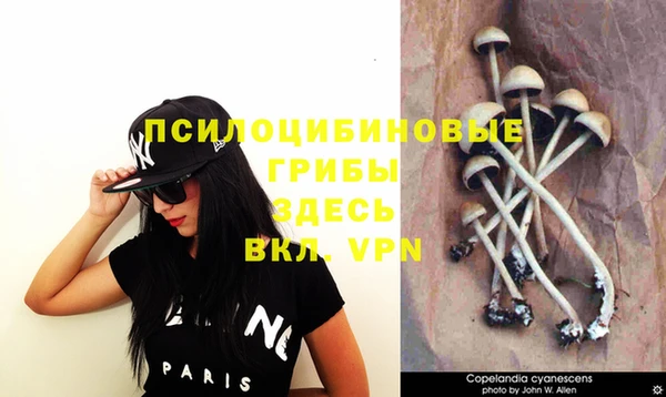 mdpv Рославль