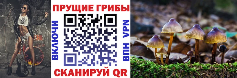 Псилоцибиновые грибы Psilocybe MEGA ссылки Кораблино как найти